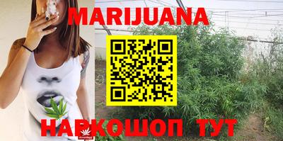 эйфоретик Берёзовский