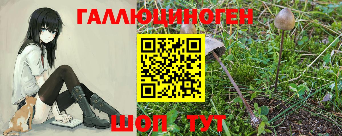 Дагестанские Огни  Галлюциногенные грибы MAGIC MUSHROOMS  Вход с VPN 