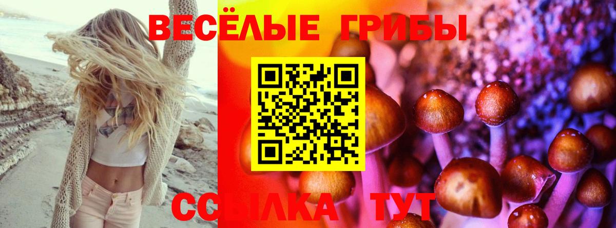 Галлюциногенные грибы Psilocybe Дагестанские Огни
