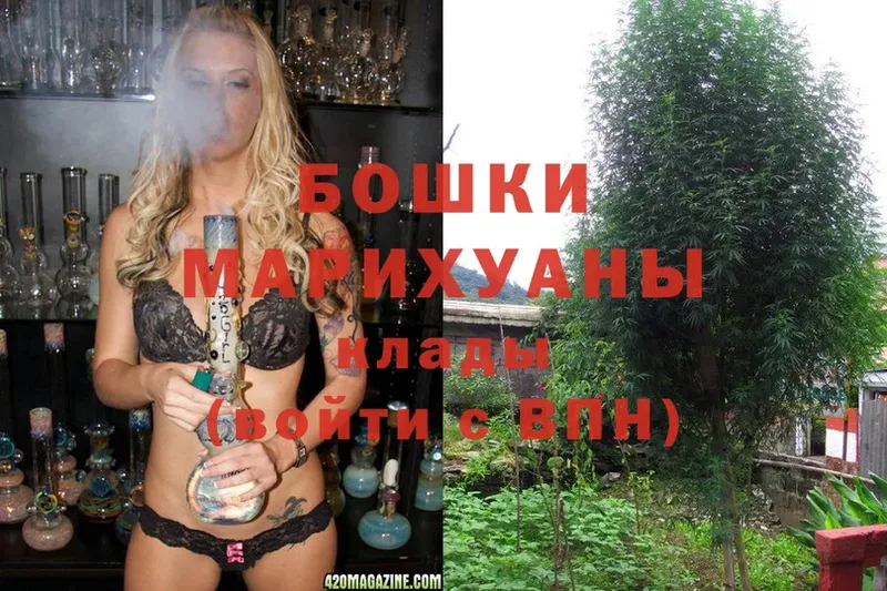 магазин продажи наркотиков  Дагестанские Огни  Бошки марихуана White Widow 